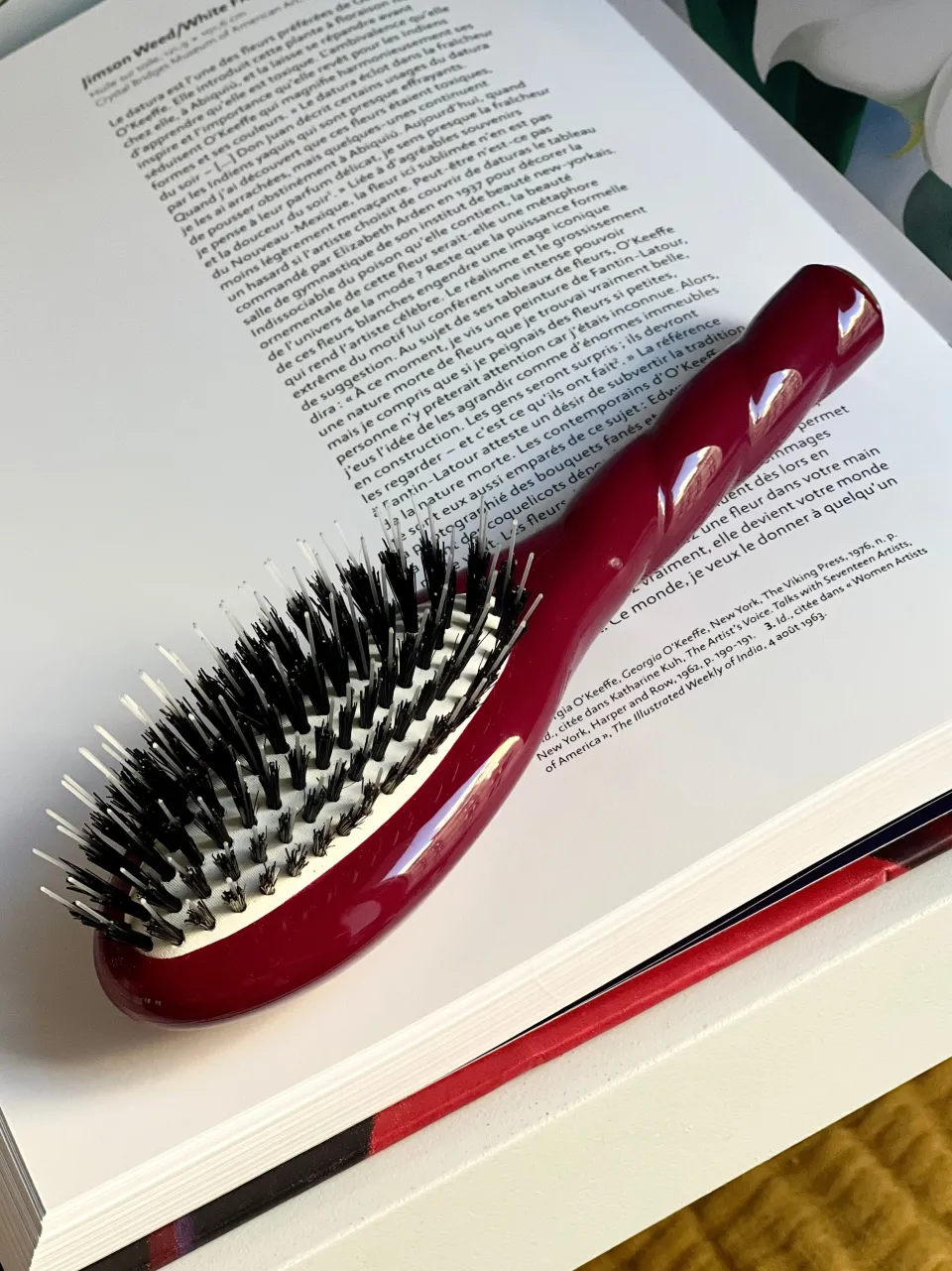 La Bonne Brosse N.02 La Petite Brosse Démêlante & Soin L’INDISPENSABLE Rouge Cerise